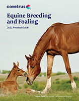 2021 EQ Breeding and Foaling