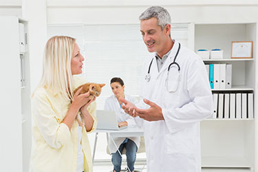 client and vet talking about cat