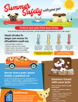 Summer Safety Infographic
