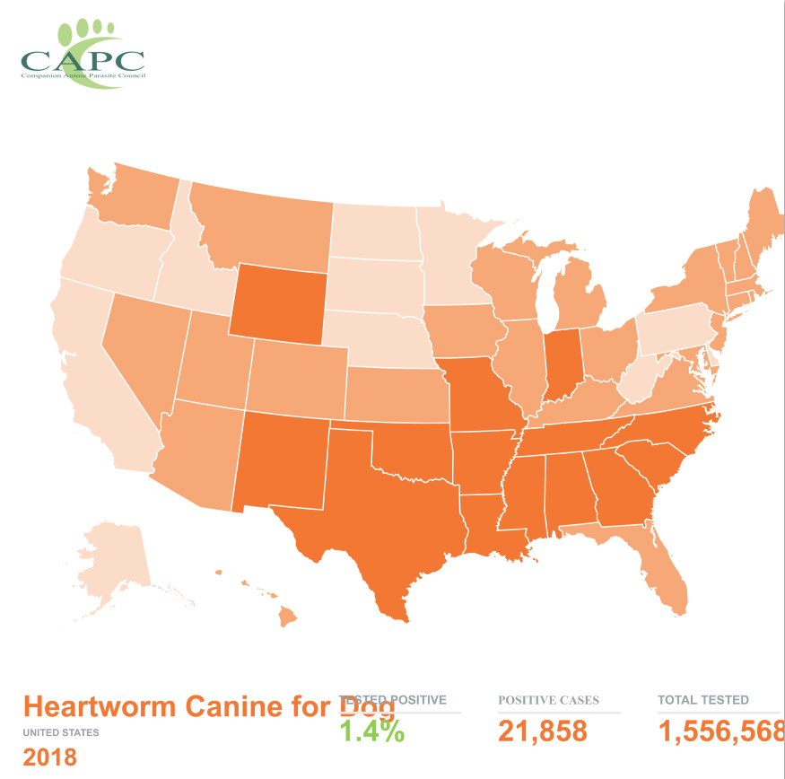 Lyme Disease and Heartworm Support from Covetrus