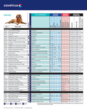 heartworm flea tick medication