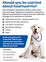 clinic ad number eight