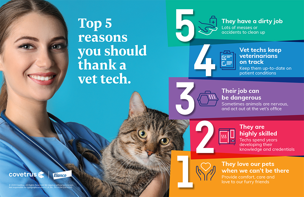 thank a vet tech