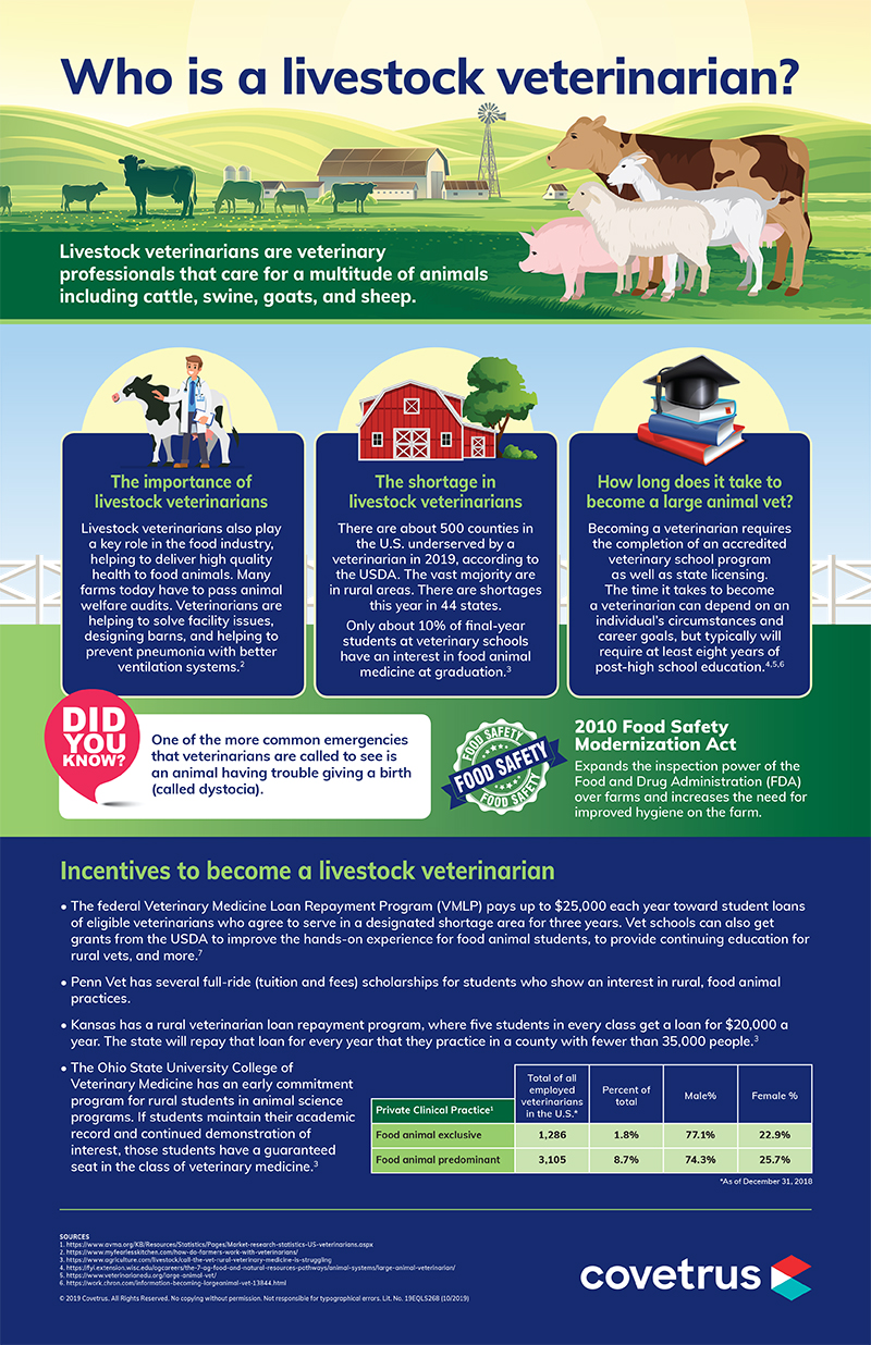 Livestock Veterinarian infographic
