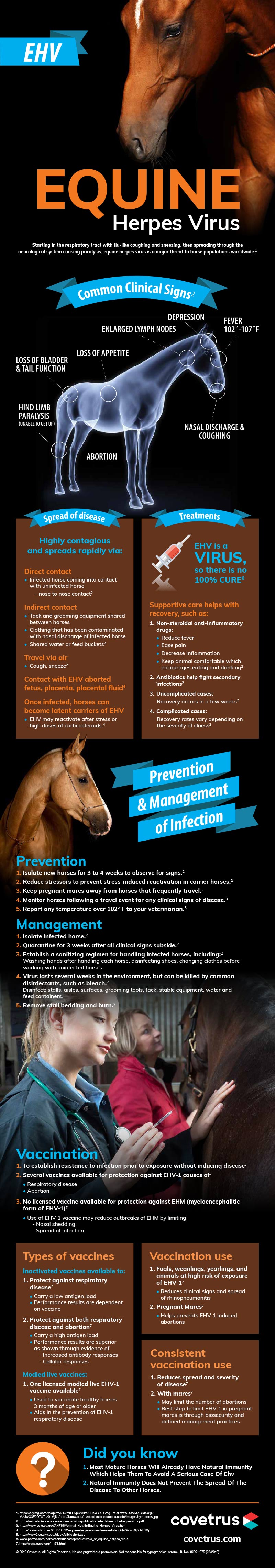 Equine Herpes virus
