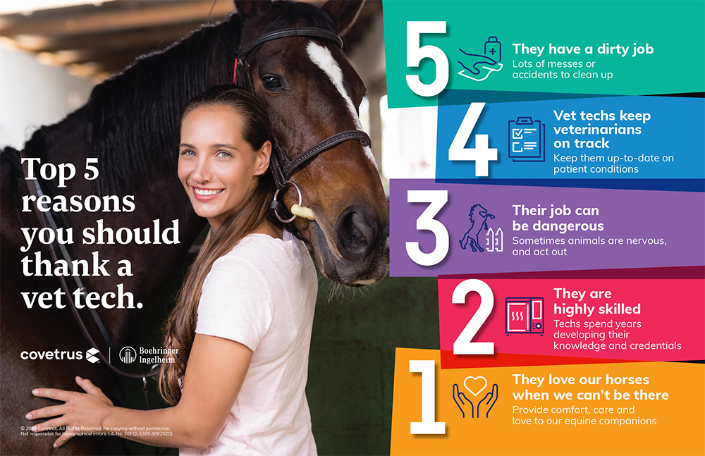 Five reasons to thank a vet tech