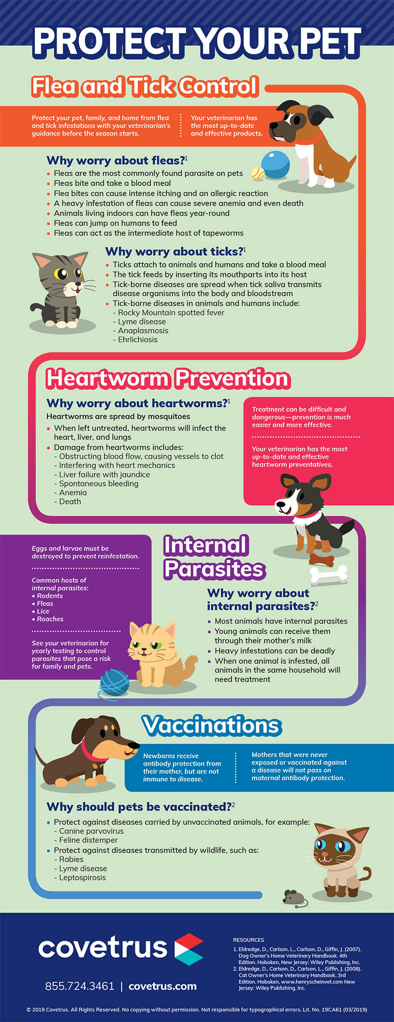 Protect your pet Infographic