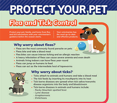 Protect Your Pets Infographic