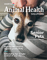 Q4 Animal Health Solutions 2022
