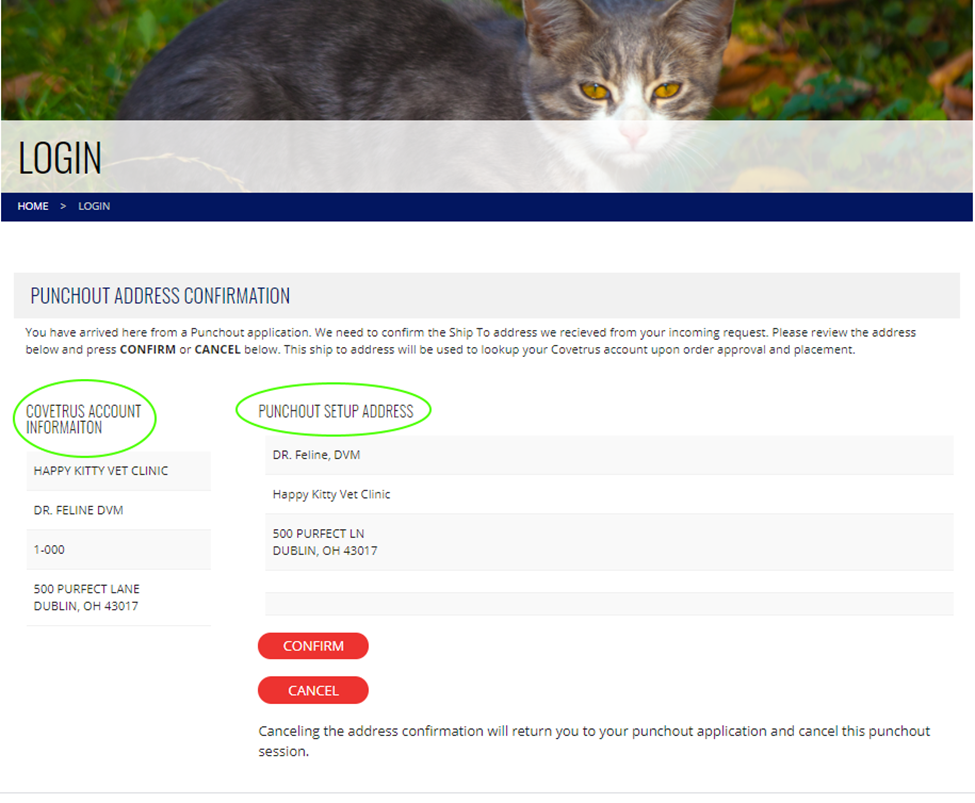 punchout-Fig1-instructions Figure 1 Punchout Account Selection