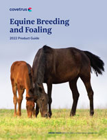 2022 EQ Breeding and Foaling